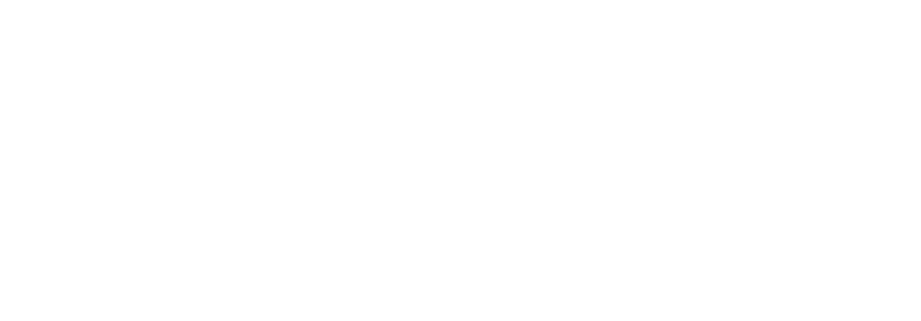Norlandia Przedszkola Logo Horizontal White WOLA