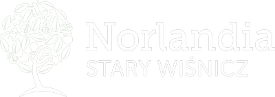 Stary Wisnicz Logo 400X142 White