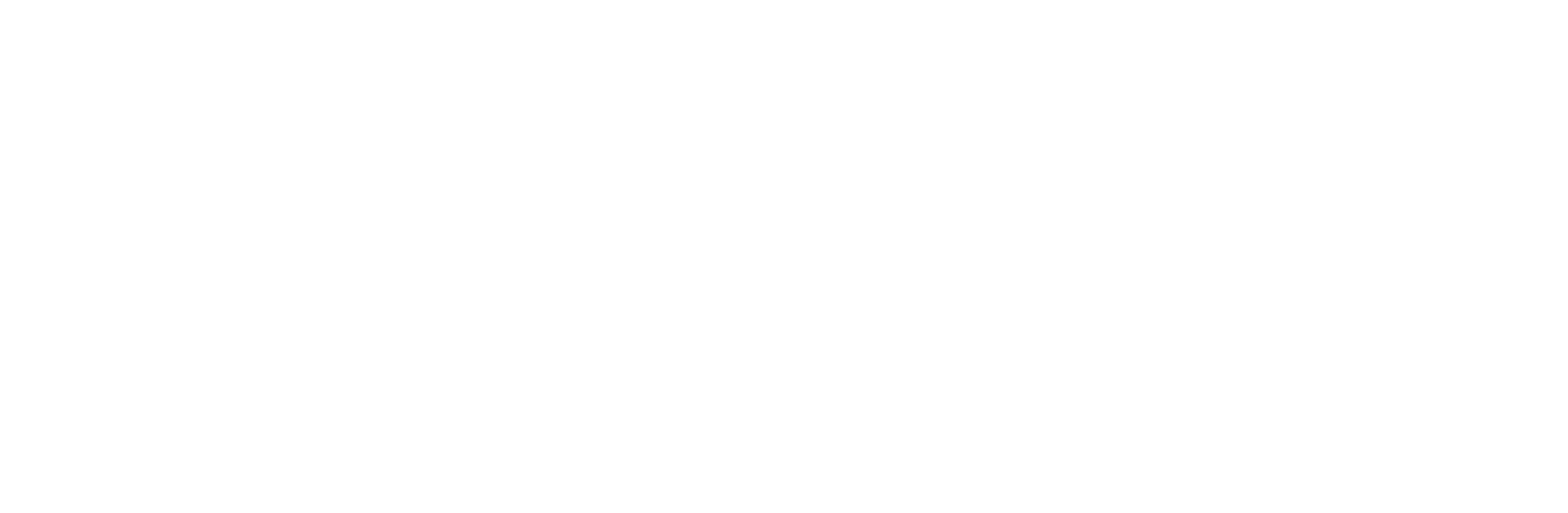 Norlandia Przedszkola Logo Horizontal White